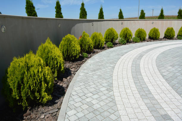 Best Luxury Driveway Paving Solutions in Seaside, CA